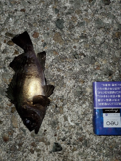 お祭り騒ぎ状態！