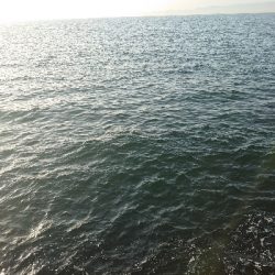 ショアジギからのアジング