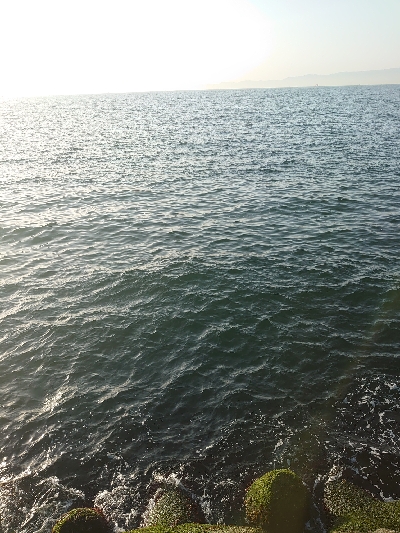 ショアジギからのアジング