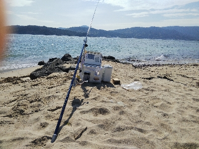 天橋立のキス釣り