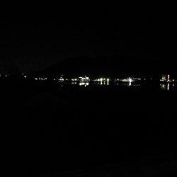 明日の晩御飯の仕入れ