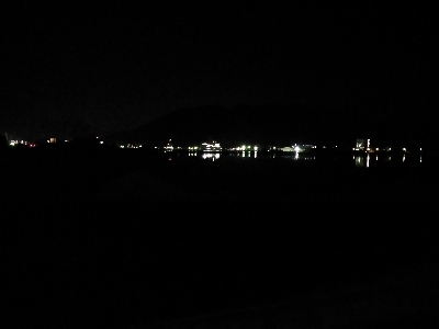 明日の晩御飯の仕入れ