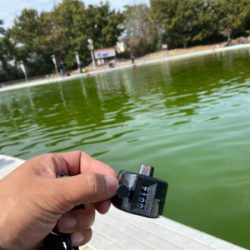 気温が暑い、服部緑地