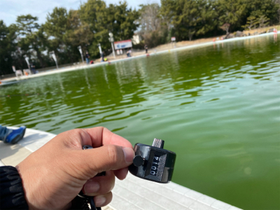 気温が暑い、服部緑地