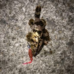 ありがとうございます！