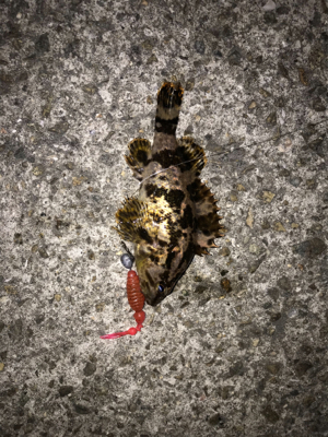 ありがとうございます！