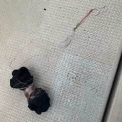 丹後沖ジギング