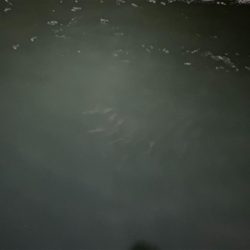 釣れないことを楽しむ。