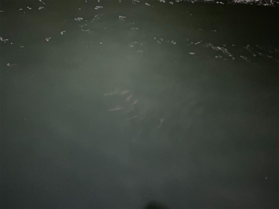 釣れないことを楽しむ。