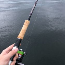 グッドサイズ シーバス!