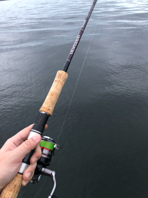 グッドサイズ シーバス!