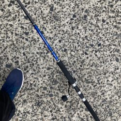 スピンテールジグで、ヒラセイゴゲット！！