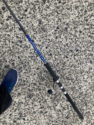 スピンテールジグで、ヒラセイゴゲット！！