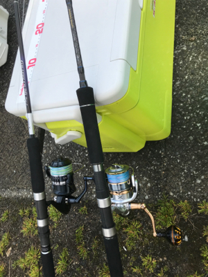 激ハードジギング