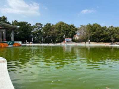 難しい　プールトラウト