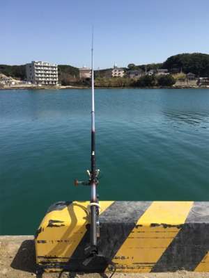 サビキで大きいアジと太刀魚