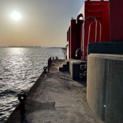 南港新波止のハネ スズキ好調！