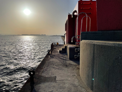 南港新波止のハネ スズキ好調！