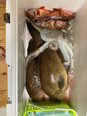 ボートワーミング