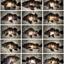 2021ライトゲーム第7戦