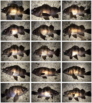 2021ライトゲーム第7戦