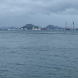 春の嵐で青物爆