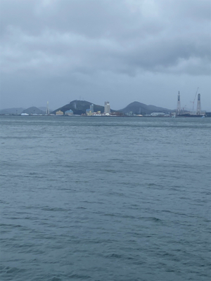 春の嵐で青物爆