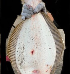 座布団いただきました！