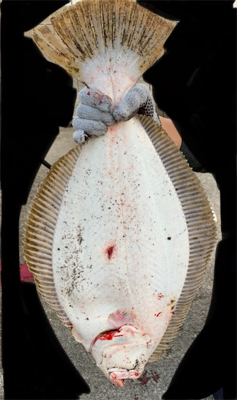 座布団いただきました！