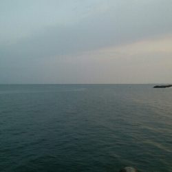 朝マズメに黒メバル1、赤メバル3!