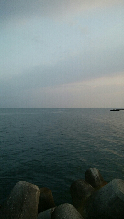 朝マズメに黒メバル1、赤メバル3!