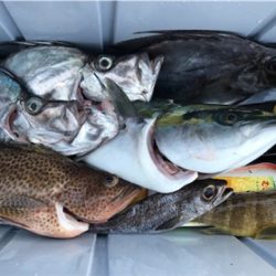 中深海と鯛ラバ