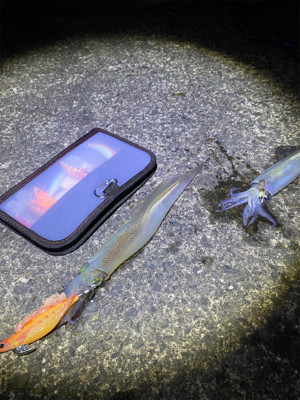 ヤリイカ終盤戦