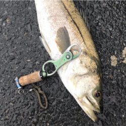 ランカーシーバス