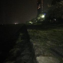 2年ぶりのブラックバス