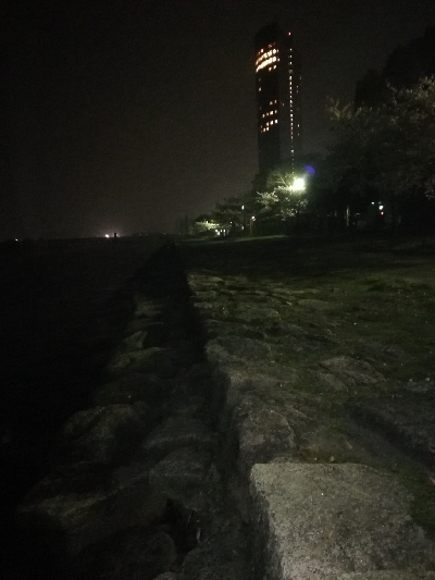 2年ぶりのブラックバス