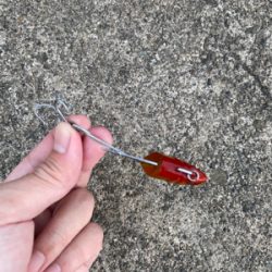 座布団頂きましたpart2