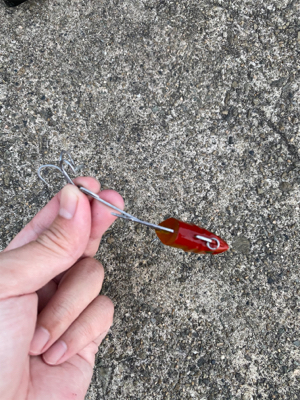 座布団頂きましたpart2