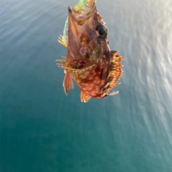 平戸島初釣行！