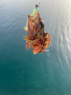 平戸島初釣行！