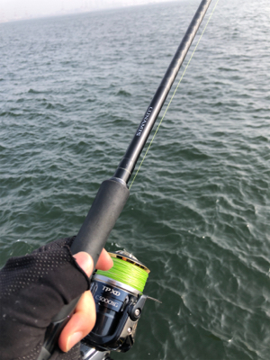 シーバス高活性