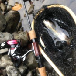 渓流釣り