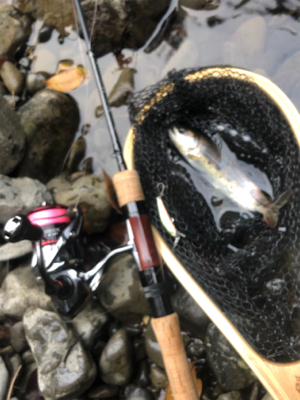 渓流釣り