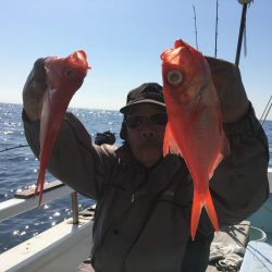 深海魚釣り‼️