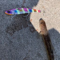 即席引っ掛け！