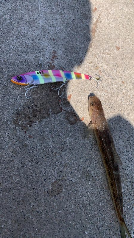 即席引っ掛け！