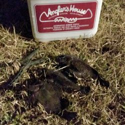 フロートメバリング