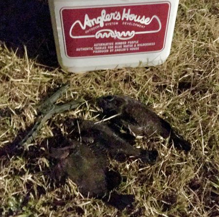 フロートメバリング