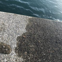 続、アジング練習！