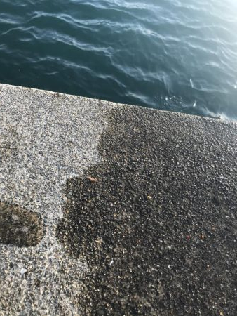 続、アジング練習！